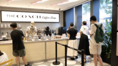 Screen Shot 2024-08-21 at 20.43.13