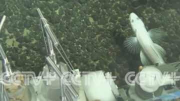 Screen Shot 2024-09-04 at 13.14.22