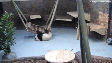 Screen Shot 2024-09-05 at 15.08.54