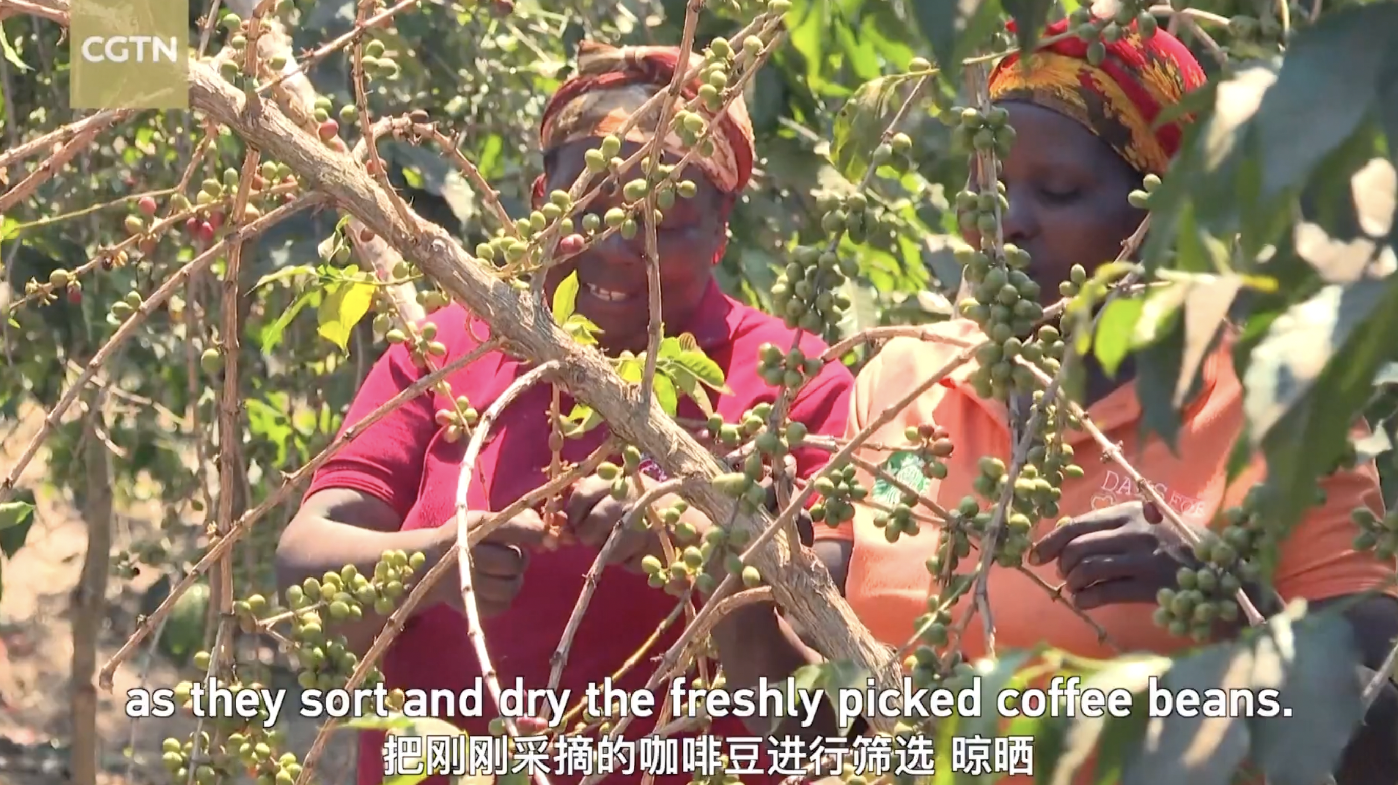 Screen Shot 2024-09-05 at 15.13.30