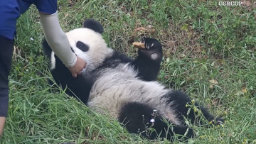 Screen Shot 2024-09-12 at 17.20.00