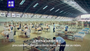 屏幕快照 2024-11-17 下午8.50.48