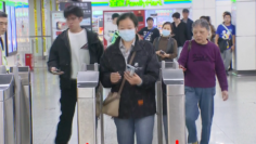 屏幕快照 2024-11-17 下午8.55.56