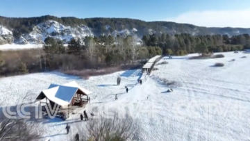 Screen Shot 2024-12-04 at 12.13.34