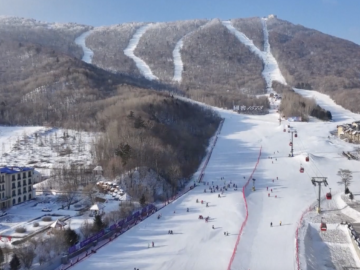 Screen Shot 2025-02-09 at 20.48.40