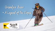 将军山的熊爷爷_封面图