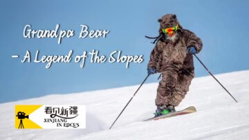 将军山的熊爷爷_封面图