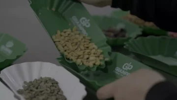 ++PKGChina+Colombia+Coffee+Exports