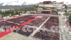 截屏2025-08-21 17.38.57