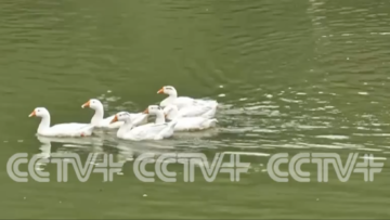 截屏2026-01-04 10.32.09