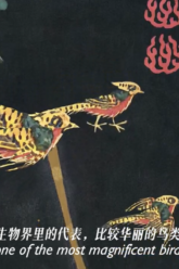 截屏2026-01-19 18.22.01