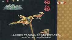 截屏2026-01-19 18.22.01